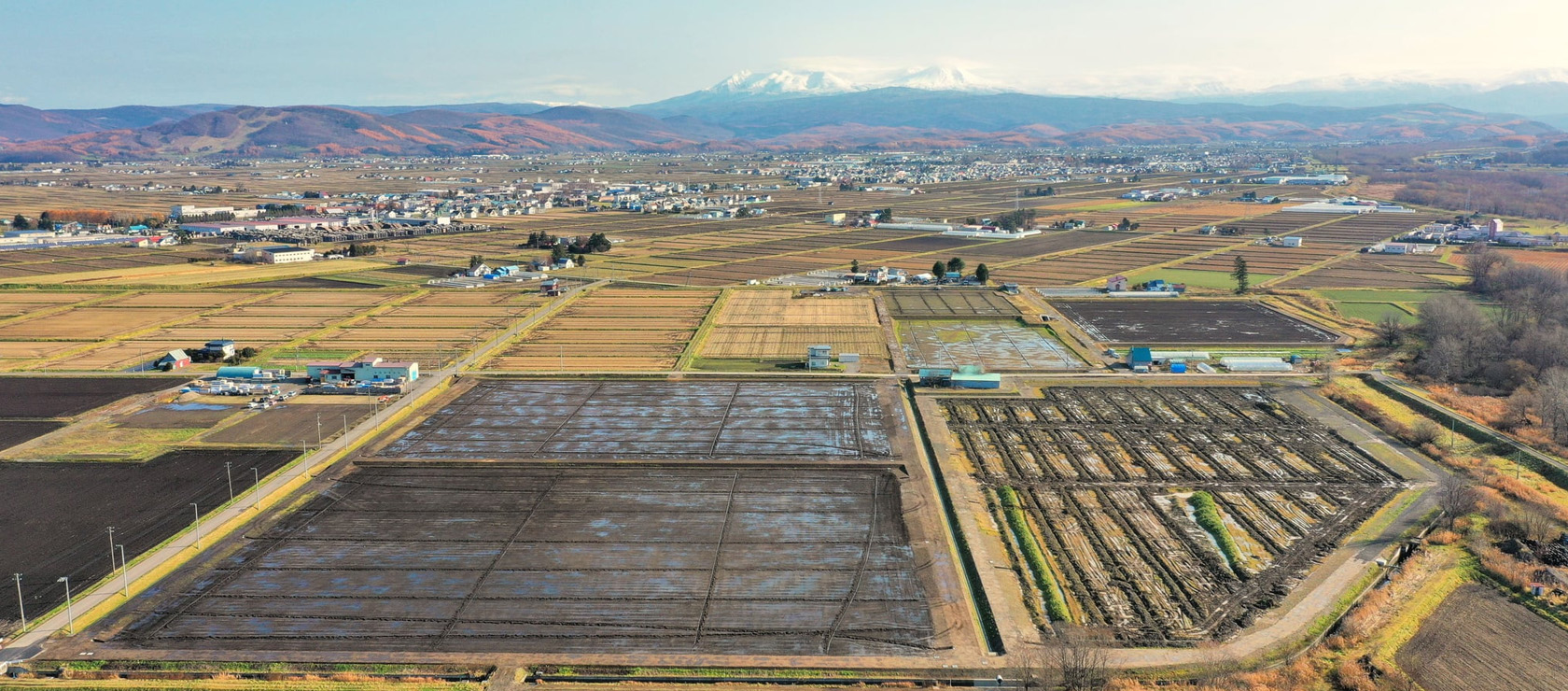 青空の下の戸建て住宅